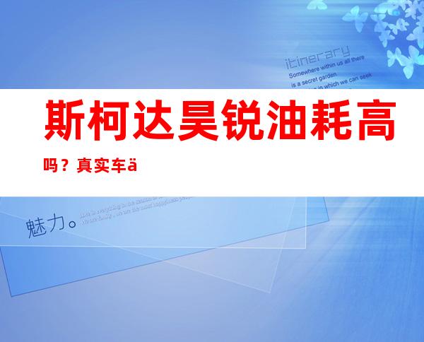 斯柯达昊锐油耗高吗？真实车主是这样说的