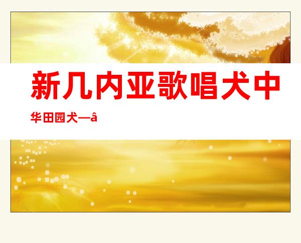 新几内亚歌唱犬 中华田园犬——新几内亚歌唱犬 澳洲野犬