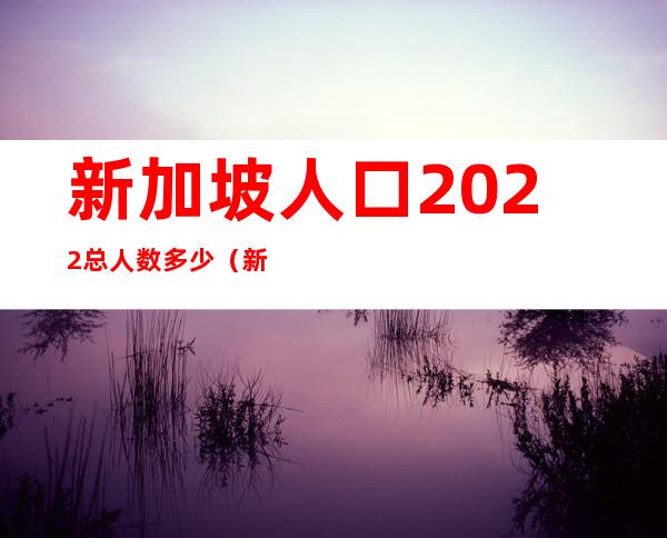 新加坡人口2022总人数多少（新加坡人口2022年总人数口）