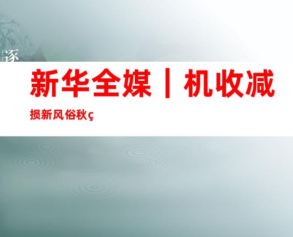 新华全媒+｜机收减损新风俗 秋粮进住“智能仓”——来自食粮主产区的节粮减损见闻