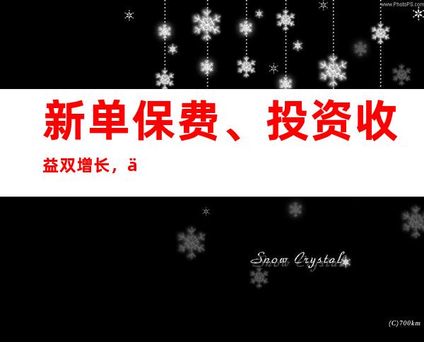 新单保费、投资收益双增长，从中报透视“头雁”中国人寿的高质量发展