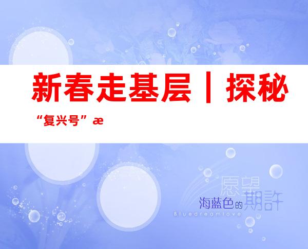 新春走基层｜探秘“复兴号” 感受“智能春运”