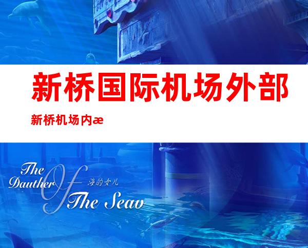 新桥国际机场外部 新桥机场内收集 与票点正在哪一个地位 ？