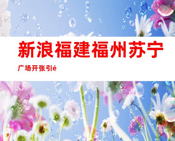 新浪福建福州苏宁广场开张引领“苏莞宝”商圈崛起