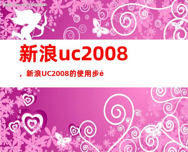 新浪uc2008，新浪UC2008的使用步骤