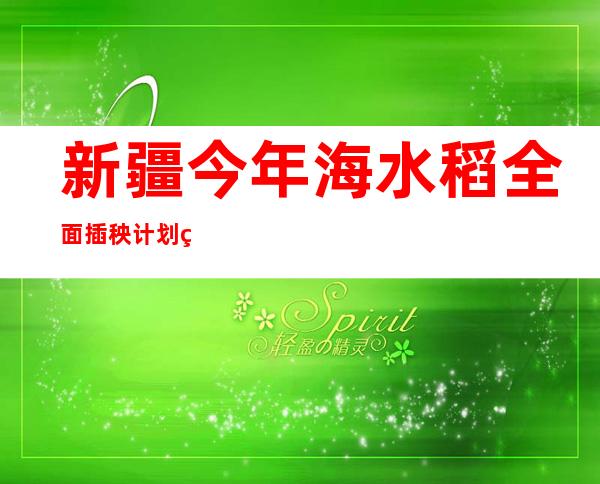 新疆今年海水稻全面插秧 计划种植5000亩