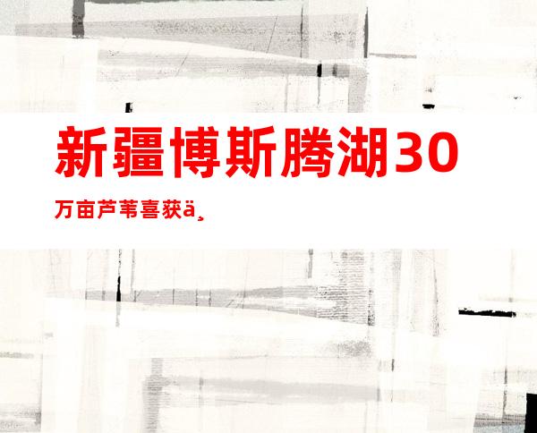 新疆博斯腾湖30万亩芦苇喜获丰收 大型机械冰上采收“苇”为壮观