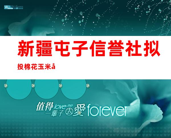 新疆屯子信誉社拟投棉花玉米及其他农副产物收购贷款约310亿 助力工业链供给链不乱