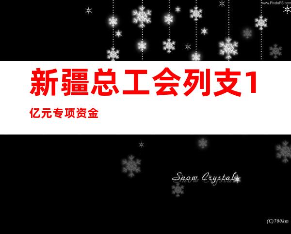 新疆总工会列支1亿元专项资金帮扶受疫情影响较年夜群体