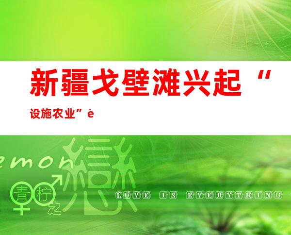 新疆戈壁滩兴起“设施农业” 蔬果丰富民众餐桌