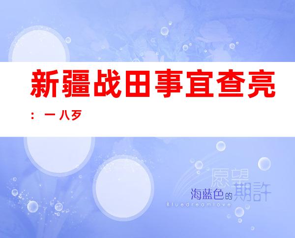 新疆战田事宜 查亮： 一 八歹徒 就地 被毙 一 四个(图)