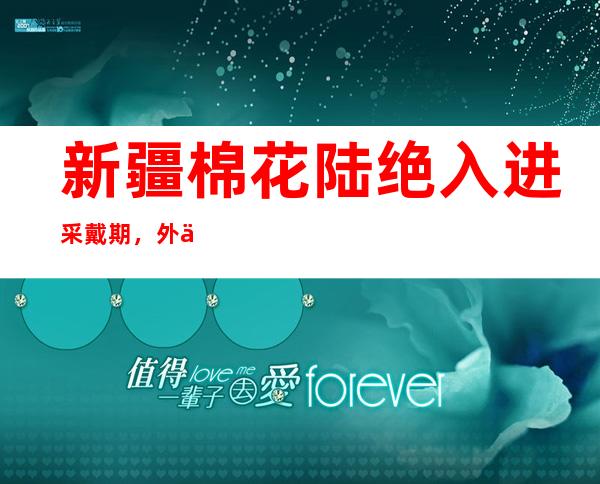 新疆棉花陆绝入进采戴期，外企踊跃应答美“新疆棉禁令”恶法