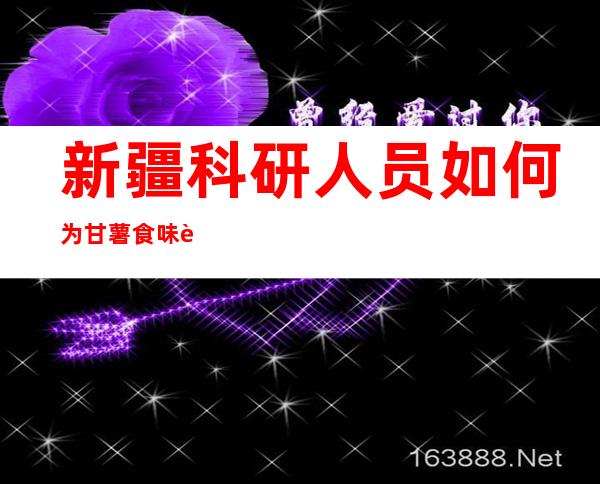 新疆科研人员如何为甘薯食味评价？实验室实地探访