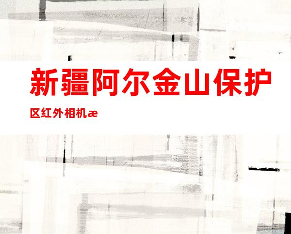 新疆阿尔金山保护区红外相机拍摄到多种珍稀野生动物影像