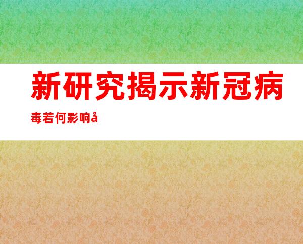 新研究揭示新冠病毒若何影响心脏