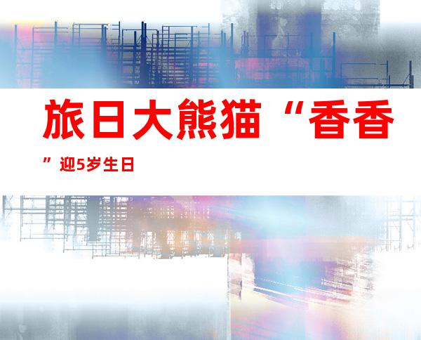 旅日大熊猫“香香”迎5岁生日 游客排队4小时等见面