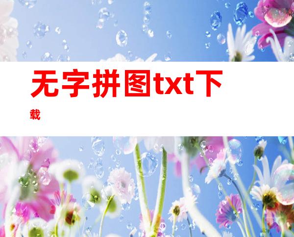 无字拼图txt下载