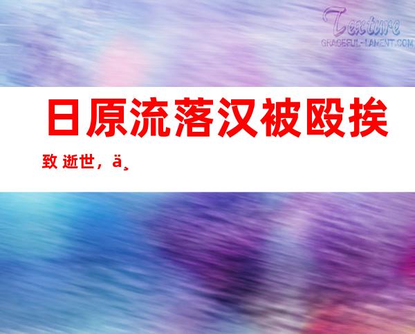 日原流落 汉被殴挨致 逝世，一位 一 八岁介入 者此前取警员 剧烈 缠斗望频暴光