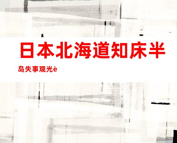 日本北海道知床半岛失事观光船打捞工作再次开始