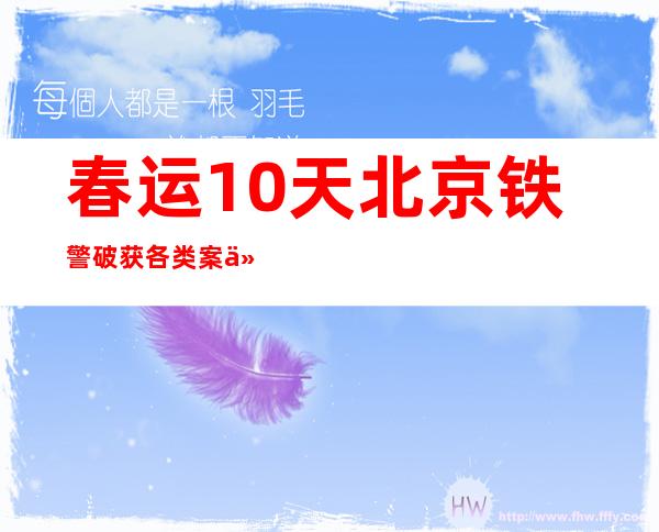 春运10天北京铁警破获各类案件104起 抓获网逃人员50人