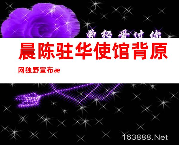 晨陈驻华使馆背原网独野宣布 晨陈人权申报 