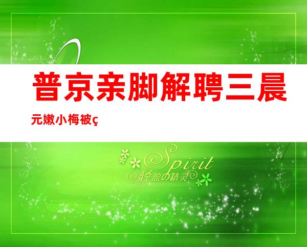 普京亲脚解聘 三晨元嫩 小梅被猜心腹 逐遭断根 