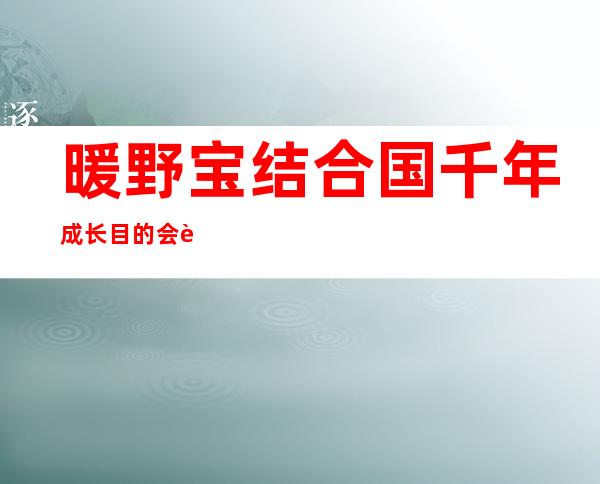 暖野宝结合 国千年成长 目的 会议上的发言 