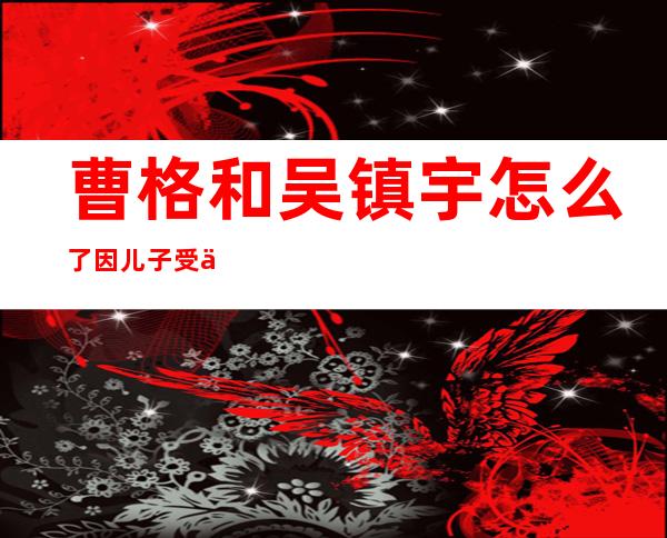 曹格和吴镇宇怎么了 因儿子受伤两人闹翻事件始末曝光