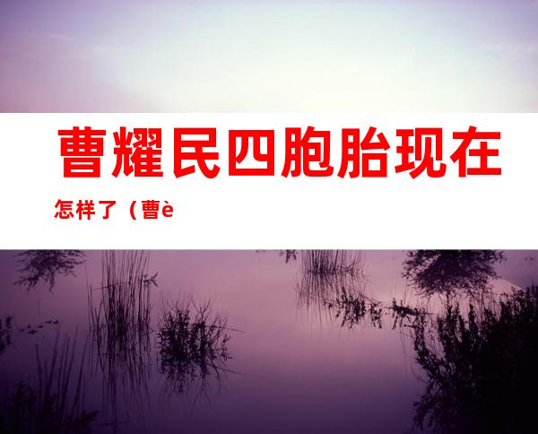 曹耀民四胞胎现在怎样了（曹耀民王冠武林风）