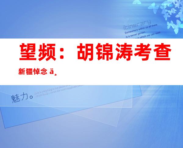 望频：胡锦涛考查 新疆 悼念  七- 五事宜 无辜逢易者