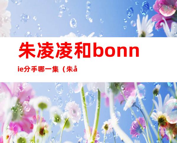 朱凌凌和bonnie分手 哪一集（朱凌凌和汤圆圆在一起了吗）