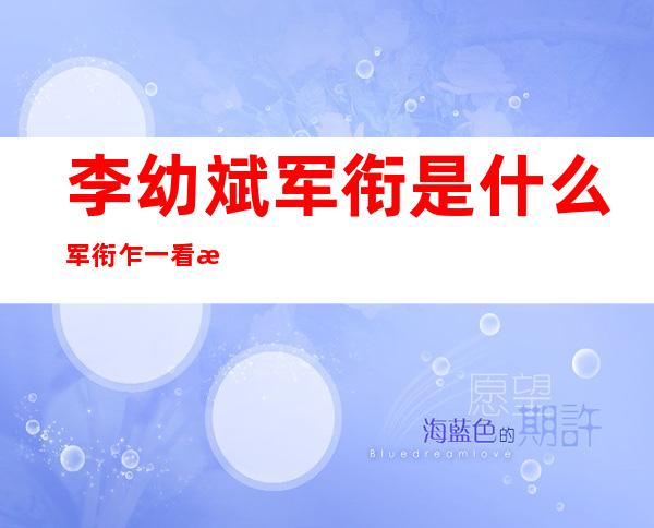 李幼斌军衔是什么军衔 乍一看是少将军衔