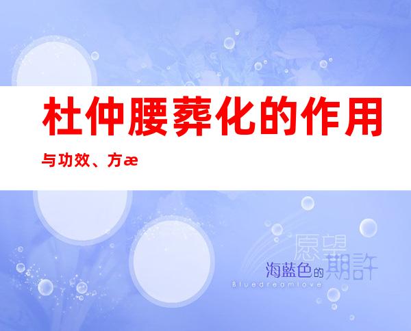 杜仲腰葬化的作用与功效、方法——补肾功效与营养价值