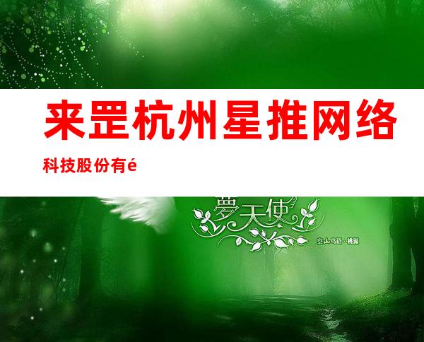 来罡 杭州星推网络科技股份有限公司（来罡个人资料）