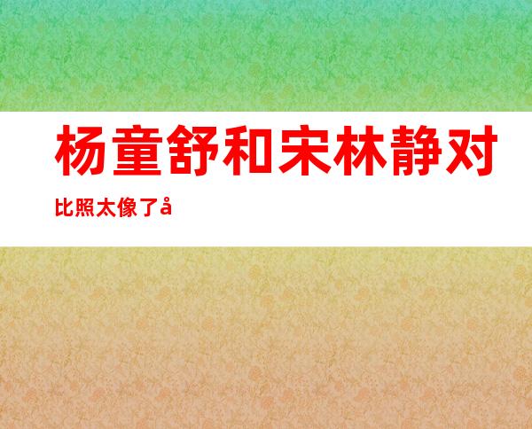 杨童舒和宋林静对比照太像了 宋林静和杨童舒是同一个人吗