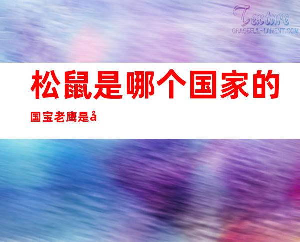 松鼠是哪个国家的国宝老鹰是哪个国家的国宝（松鼠是哪个国家的国宝为什么）