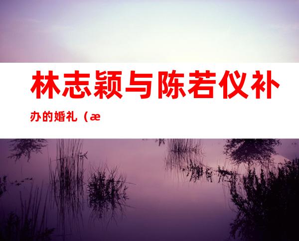 林志颖与陈若仪补办的婚礼（林志颖为什么会喜欢陈若仪）