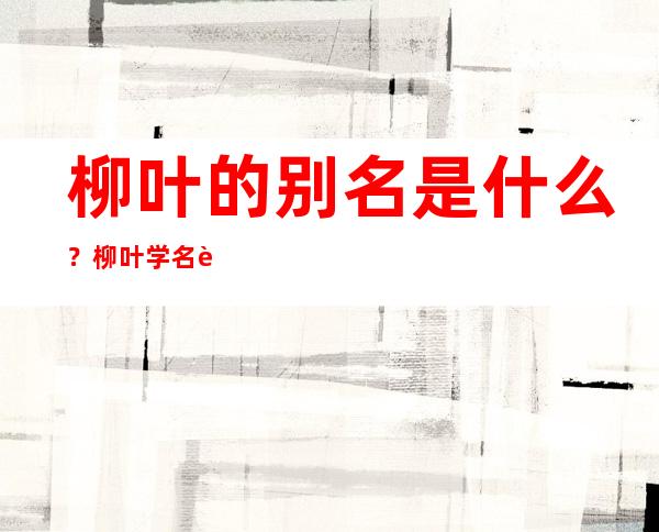 柳叶的别名是什么？柳叶学名药名又叫什么