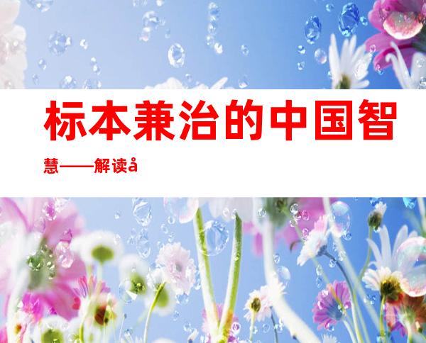 标本兼治的中国智慧——解读全球安全倡议系列评论之一