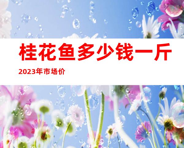 桂花鱼多少钱一斤2023年市场价 桂花鱼属于海鲜吗