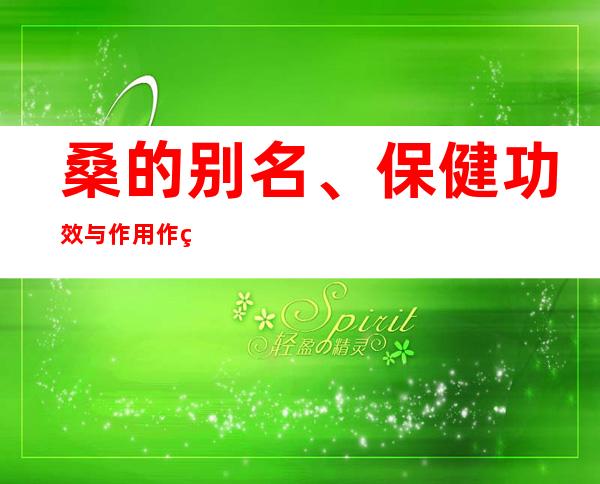 桑的别名、保健功效与作用作用_桑的食疗偏方与特点