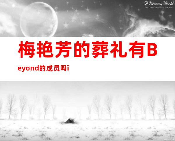 梅艳芳的葬礼有Beyond的成员吗，梅艳芳的葬礼有多少明星参加le