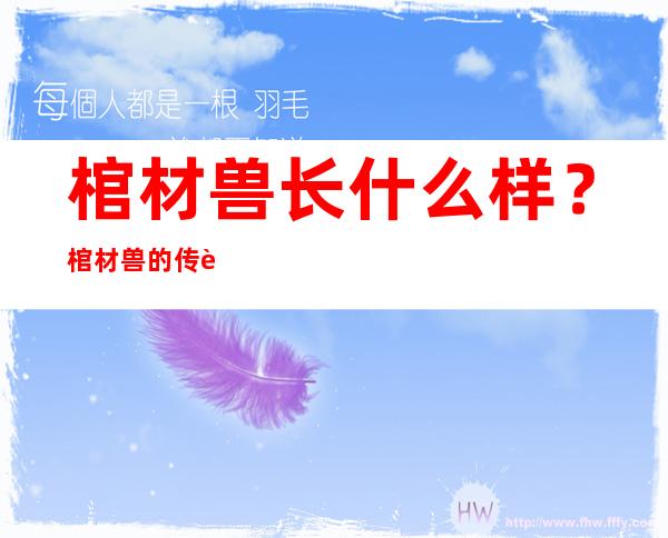 棺材兽长什么样？棺材兽的传说真的存在吗