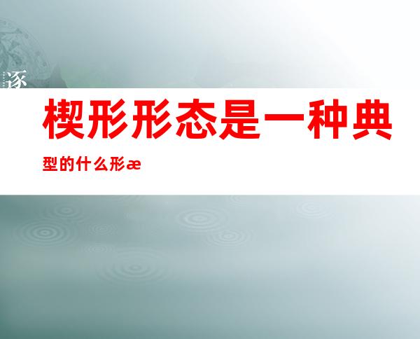 楔形形态是一种典型的什么形态（楔形形态和三角形态有什么区别）