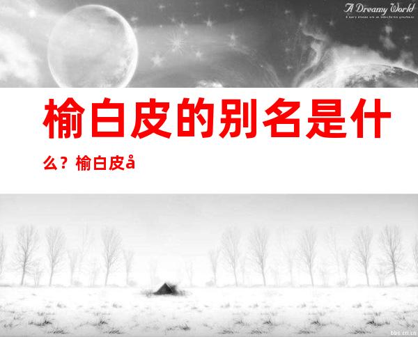 榆白皮的别名是什么？榆白皮学名药名又叫什么