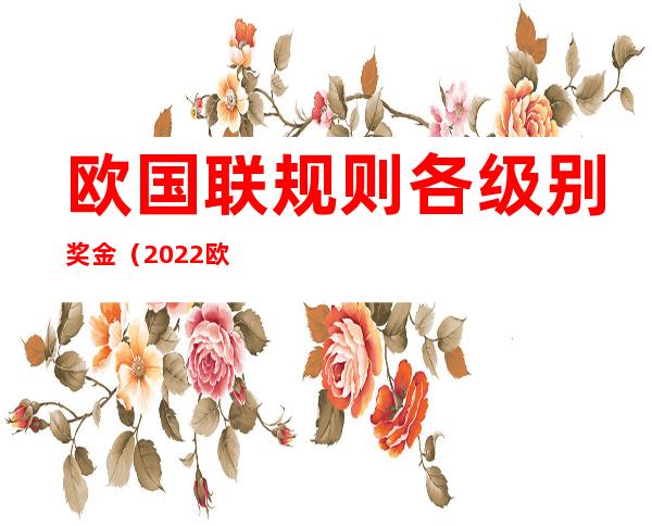 欧国联规则各级别奖金（2022欧国联小组赛规则）