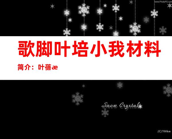 歌脚叶培小我 材料 简介：叶蓓演唱会朴树下晓紧等石友 全帮阵