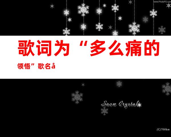 歌词为“多么痛的领悟”歌名叫什么?原唱是谁？