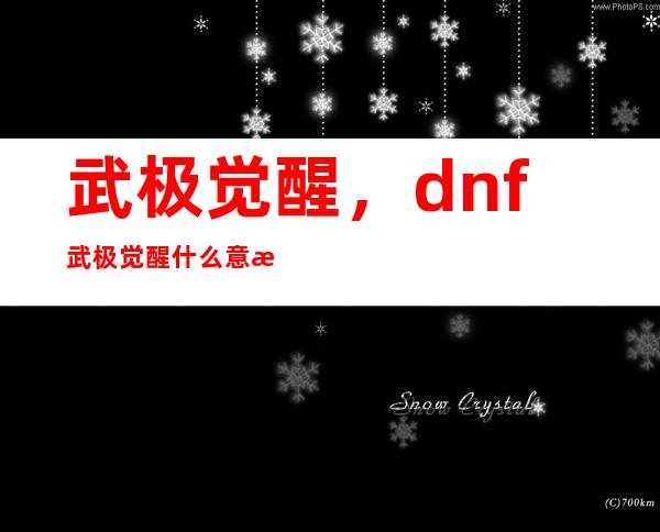 武极觉醒，dnf武极觉醒什么意思