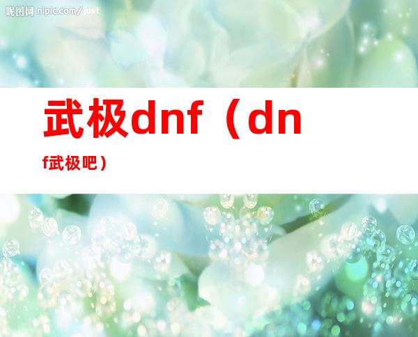 武极 dnf（dnf武极吧）